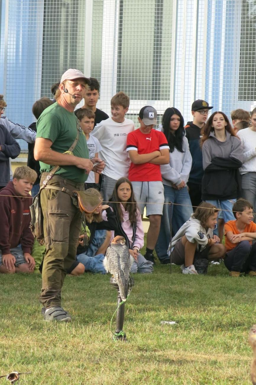 Dravci zavítali na naši školní zahradu