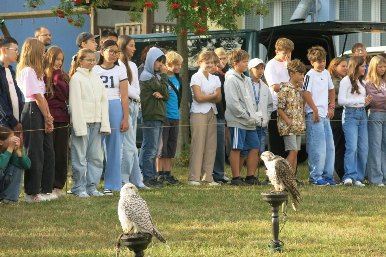 Dravci zavítali na naši školní zahradu