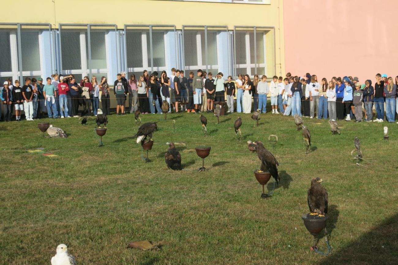Dravci zavítali na naši školní zahradu