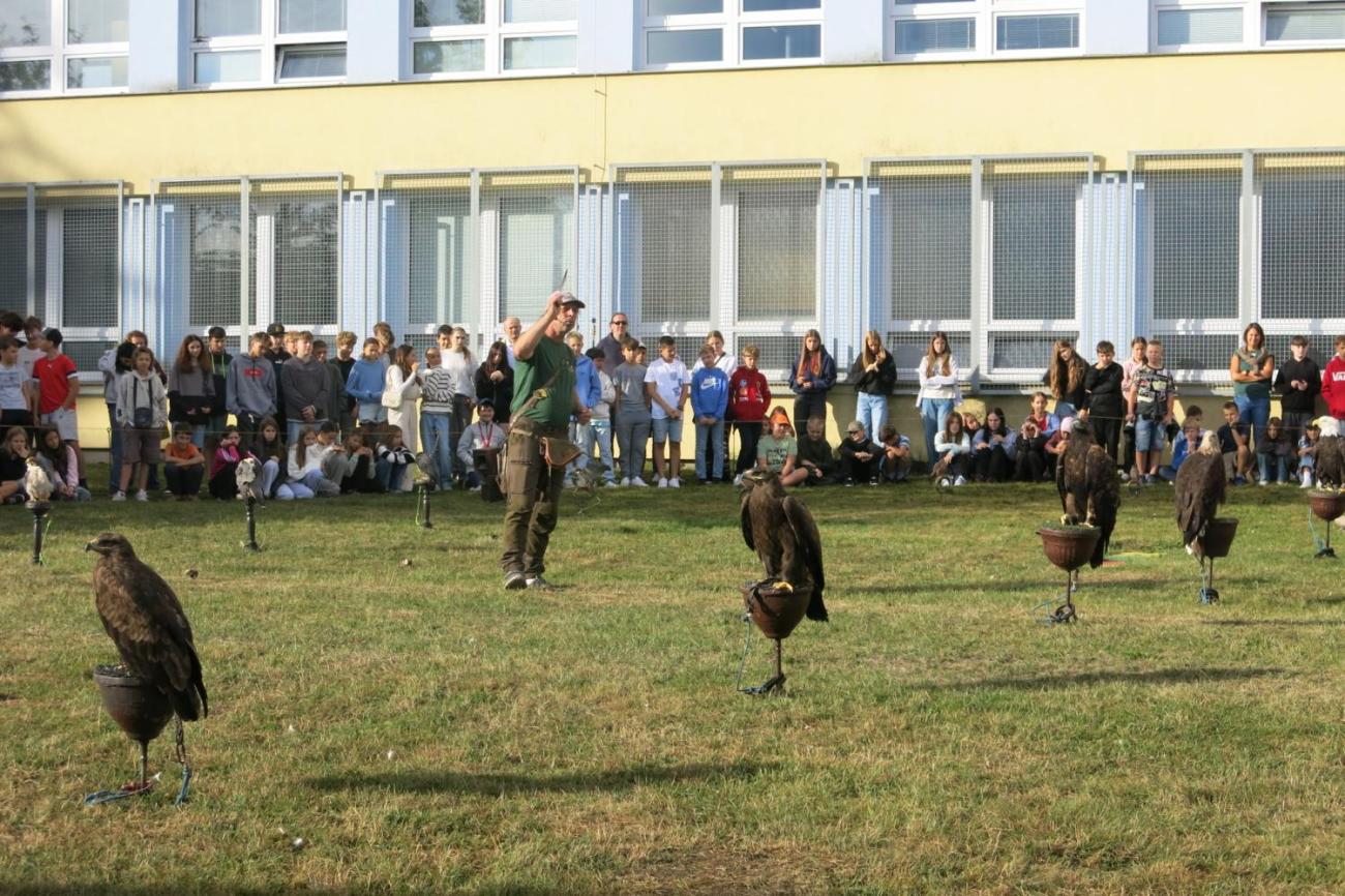 Dravci zavítali na naši školní zahradu
