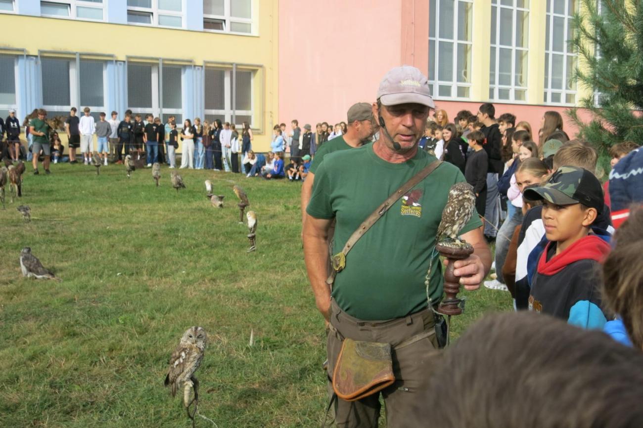 Dravci zavítali na naši školní zahradu