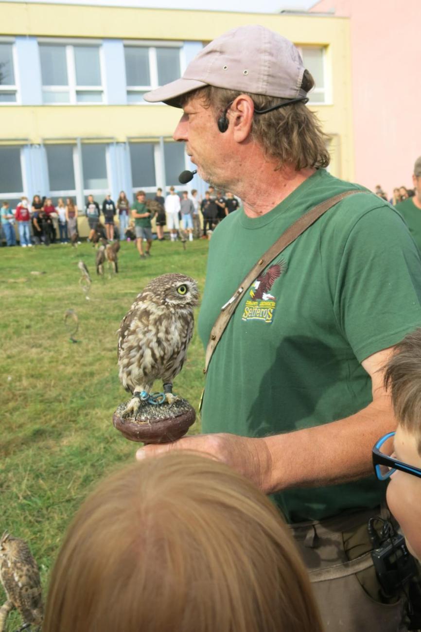 Dravci zavítali na naši školní zahradu