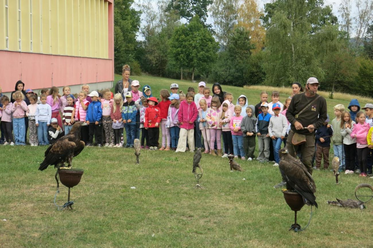 Dravci zavítali na naši školní zahradu