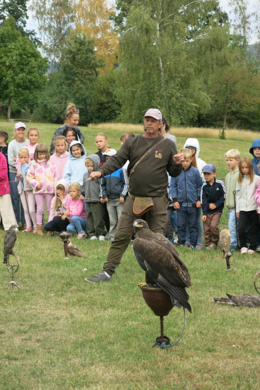 Dravci zavítali na naši školní zahradu