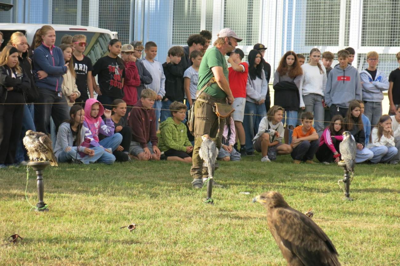 Dravci zavítali na naši školní zahradu