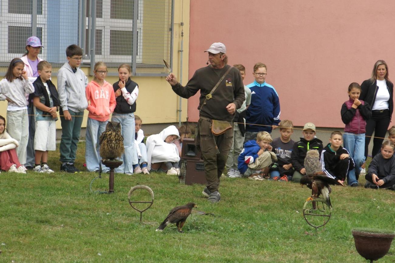 Dravci zavítali na naši školní zahradu