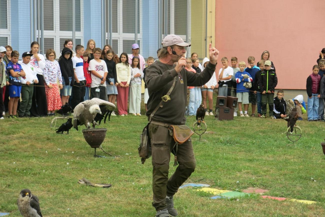 Dravci zavítali na naši školní zahradu