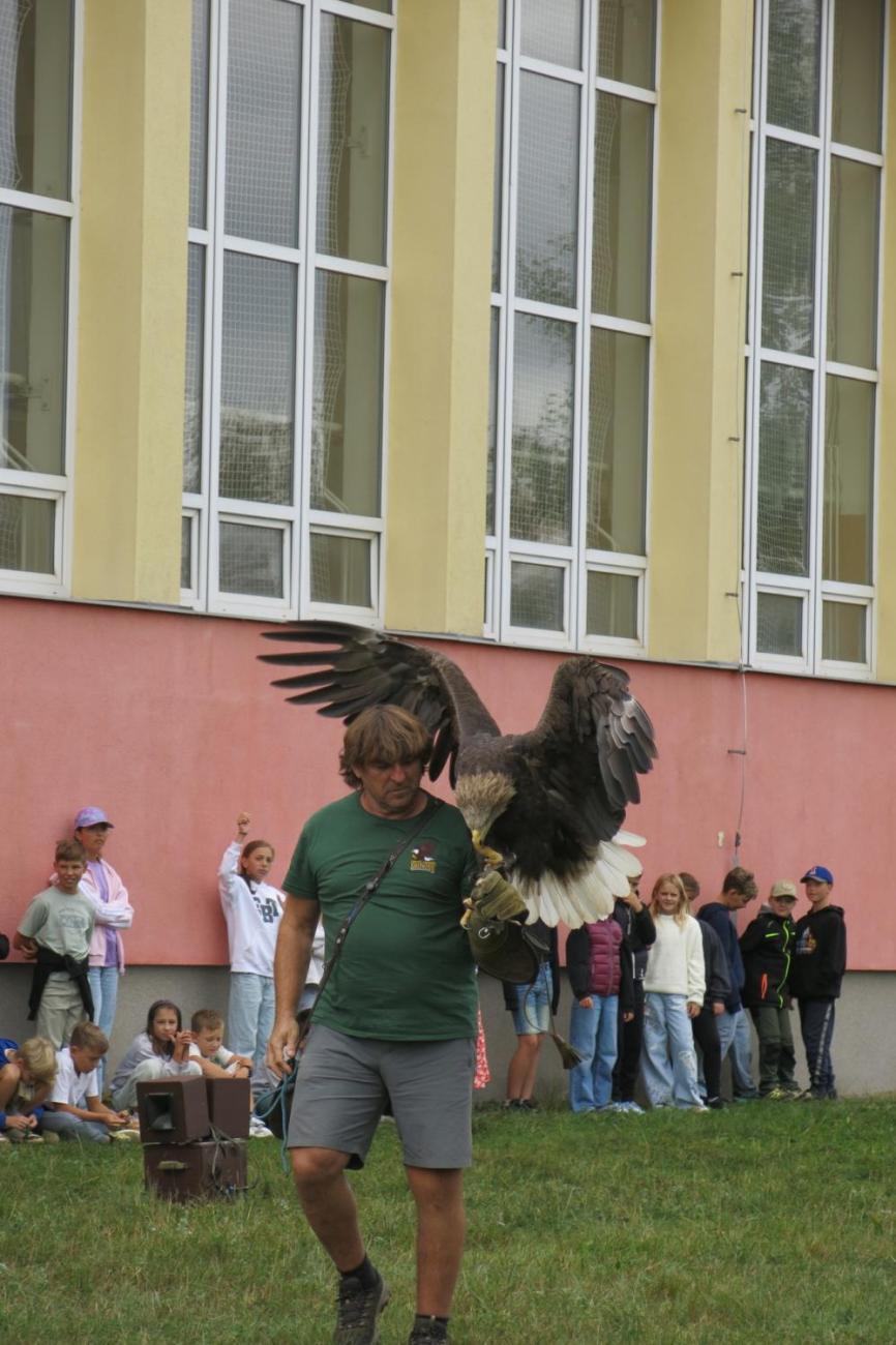 Dravci zavítali na naši školní zahradu