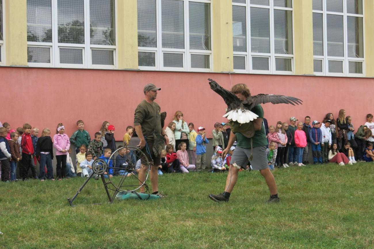 Dravci zavítali na naši školní zahradu